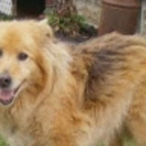 Meet your Posher, Brett